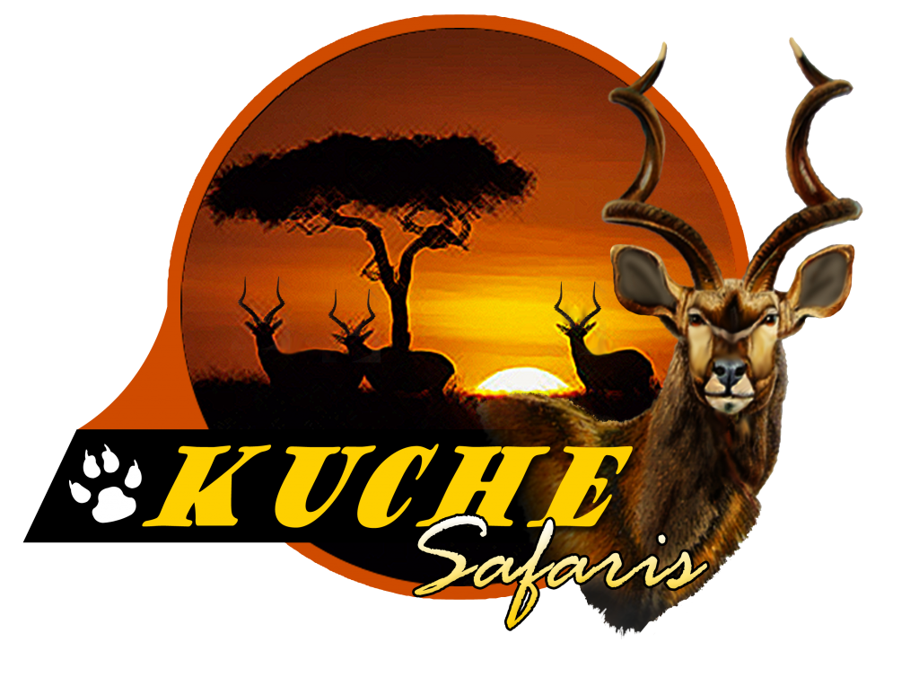 kuche safaris location