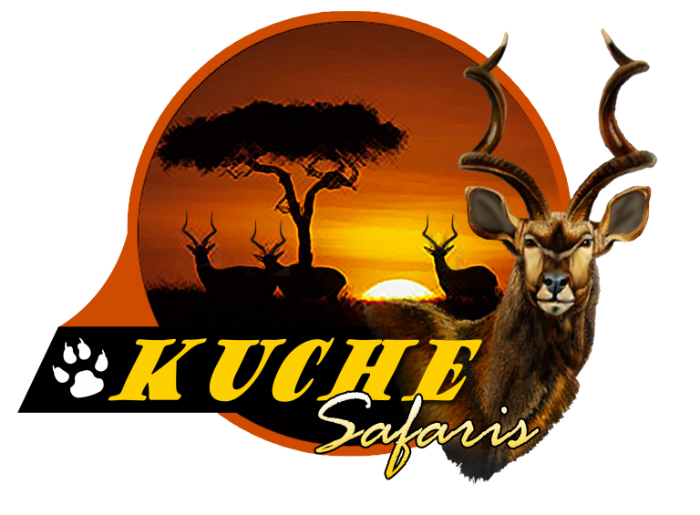 Kuche Hunting Safaris South Africa – Where it's all about you…